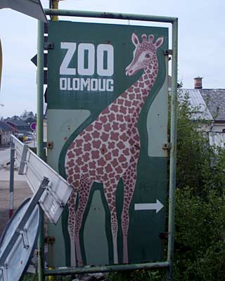 Choek v ZOO Olomouc