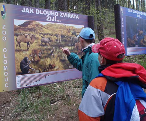 Choek v ZOO Olomouc